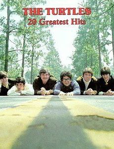 The Turtles