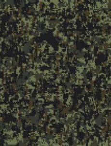 List of Camouflage patterns - FamousFix List