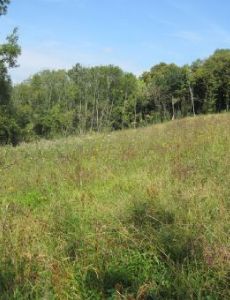 Saltbox Hill