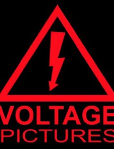 Voltage Pictures