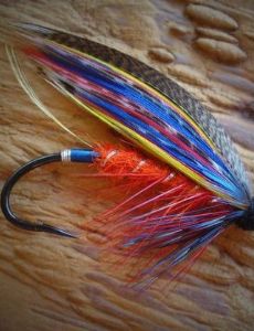 Fly fishing