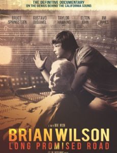 Brian Wilson: Long Promised Road