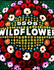Wildflower