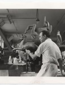 Willard Hirsch