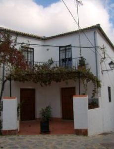 Parauta
