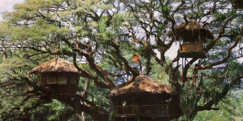 Swiss Family Robinson