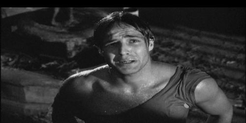 A Streetcar Named Desire