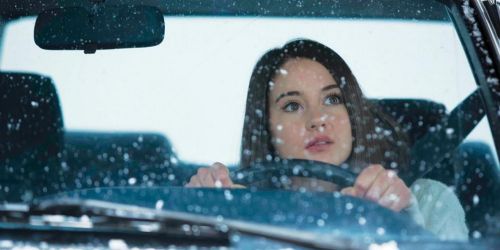 White Bird in a Blizzard