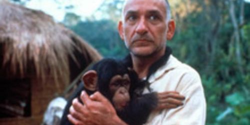 O Quinto Macaco