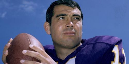 Joe Kapp