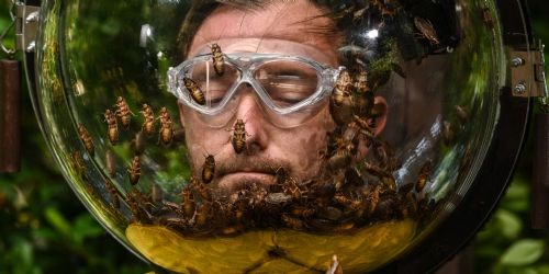 I'm a Celebrity, Get Me Out of Here!