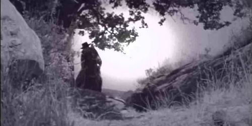The Marksman