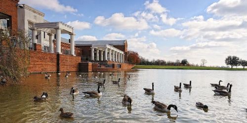 Montgomery Museum of Fine Arts