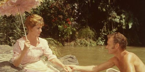 Swiss Family Robinson