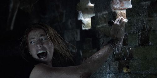 Crawl