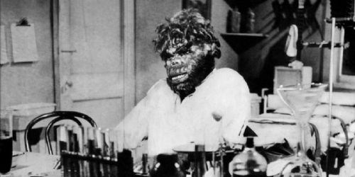 The Neanderthal Man