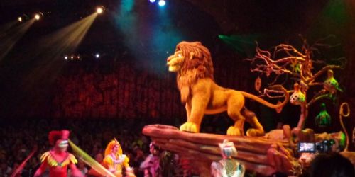 Festival of the Lion King