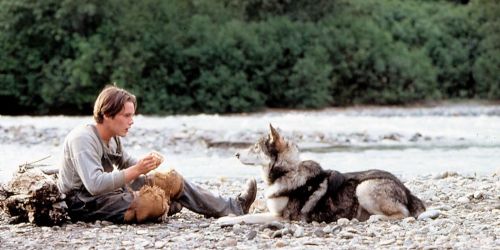 White Fang