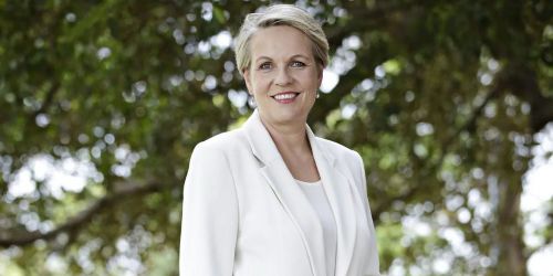 Tanya Plibersek