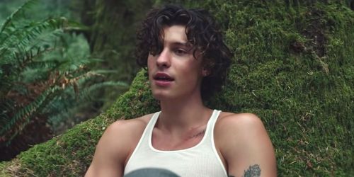 Shawn Mendes: Wonder