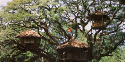 Swiss Family Treehouse