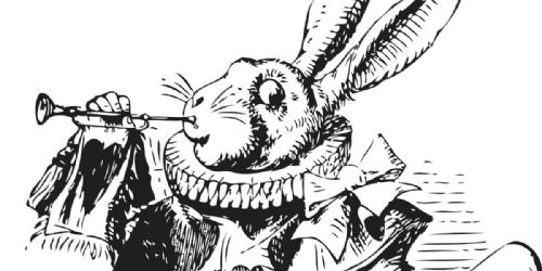 The White Rabbit