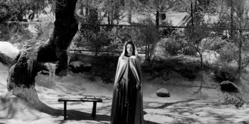 The Curse of the Cat People