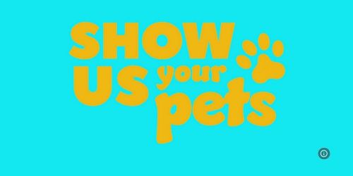 Show Us Your Pets