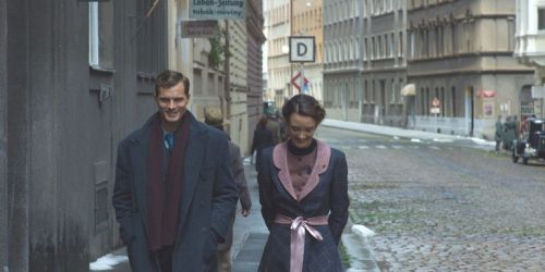 Anthropoid