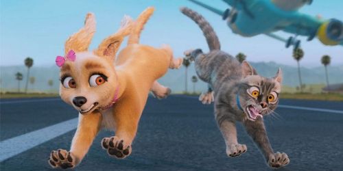 Gracie and Pedro: Pets to the Rescue