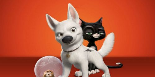 Bolt