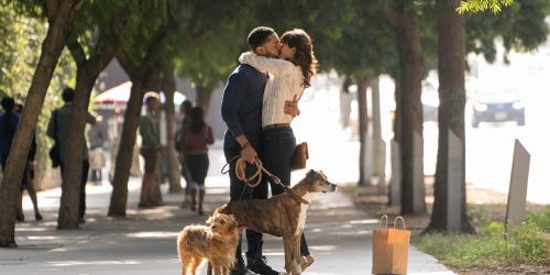 Dog Days