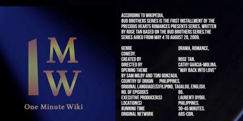 The Bud Brothers Series