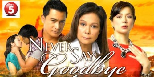 Never Say Goodbye