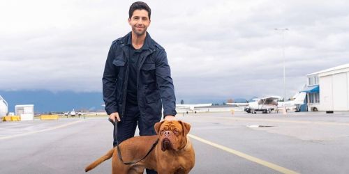 Turner & Hooch