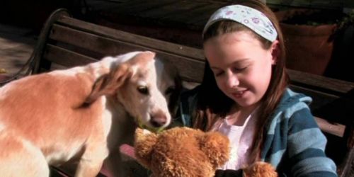 Aussie & Ted's Great Adventure