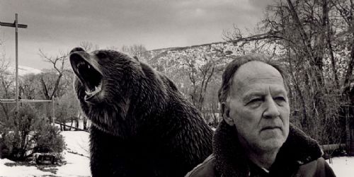 Grizzly Man