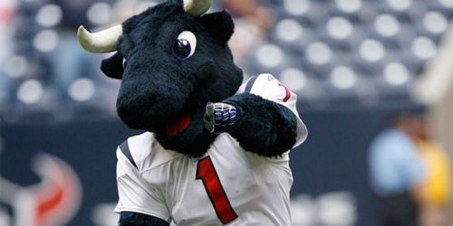 Houston Texans