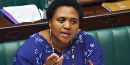 Thoko Didiza
