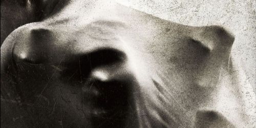 The Possession of Michael King