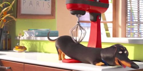 The Secret Life of Pets