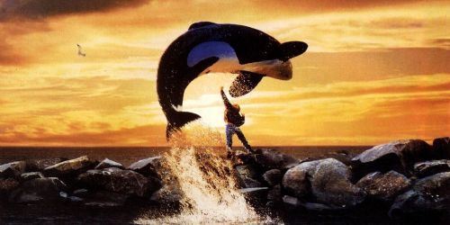 Free Willy