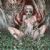 2000s death metal album stubs