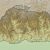Mountain passes of Bhutan