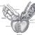 Glands