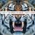 Thirty Seconds to Mars albums