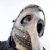 Chris Fehn