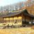 Yeongju