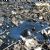La Brea Tar Pits