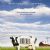 Food, Inc.
